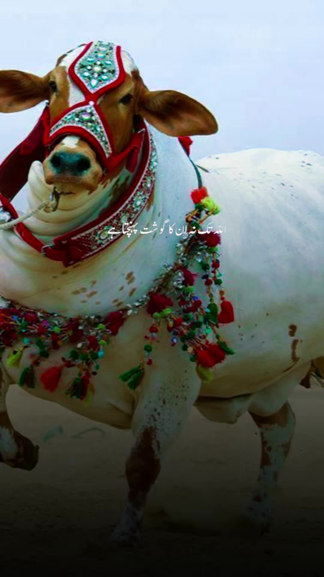 @khan.pti030
