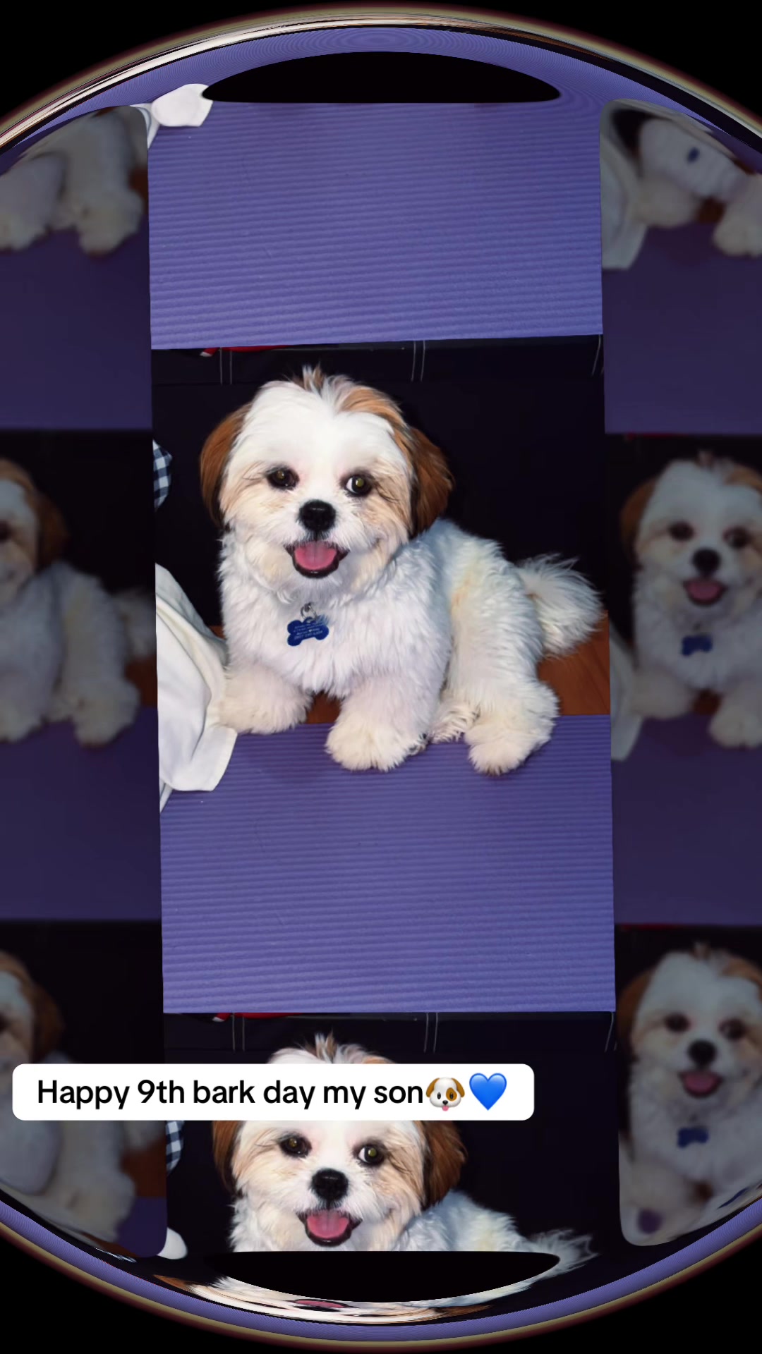 @ɦ◎ʏ 𝕄𝕒𝕤𝕥𝕖𝕣 𝔸𝕓𝕓𝕪🩵💜