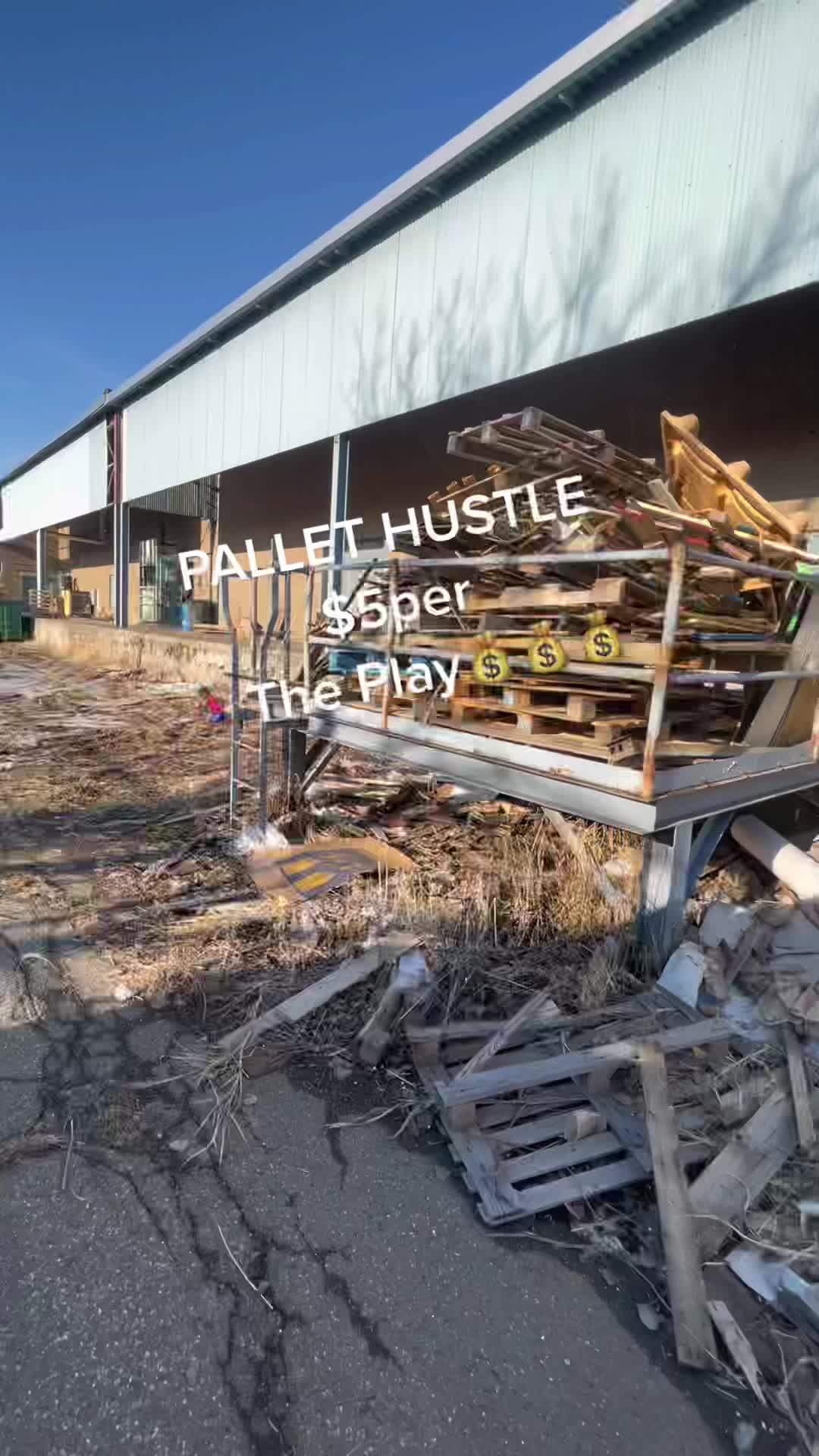 @ViceSityLane