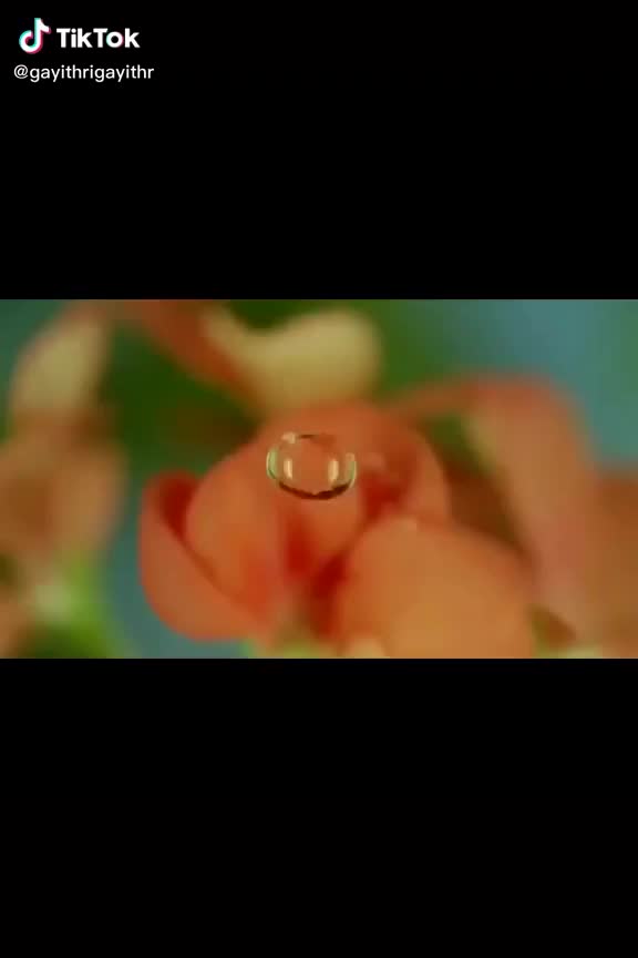 @Madhuchaya