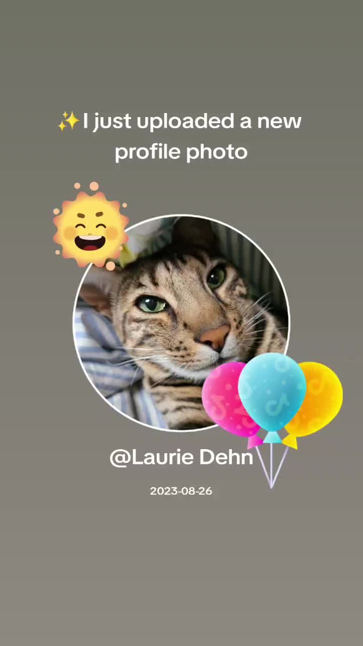 @Laurie Dehn 🆘️🇺🇲