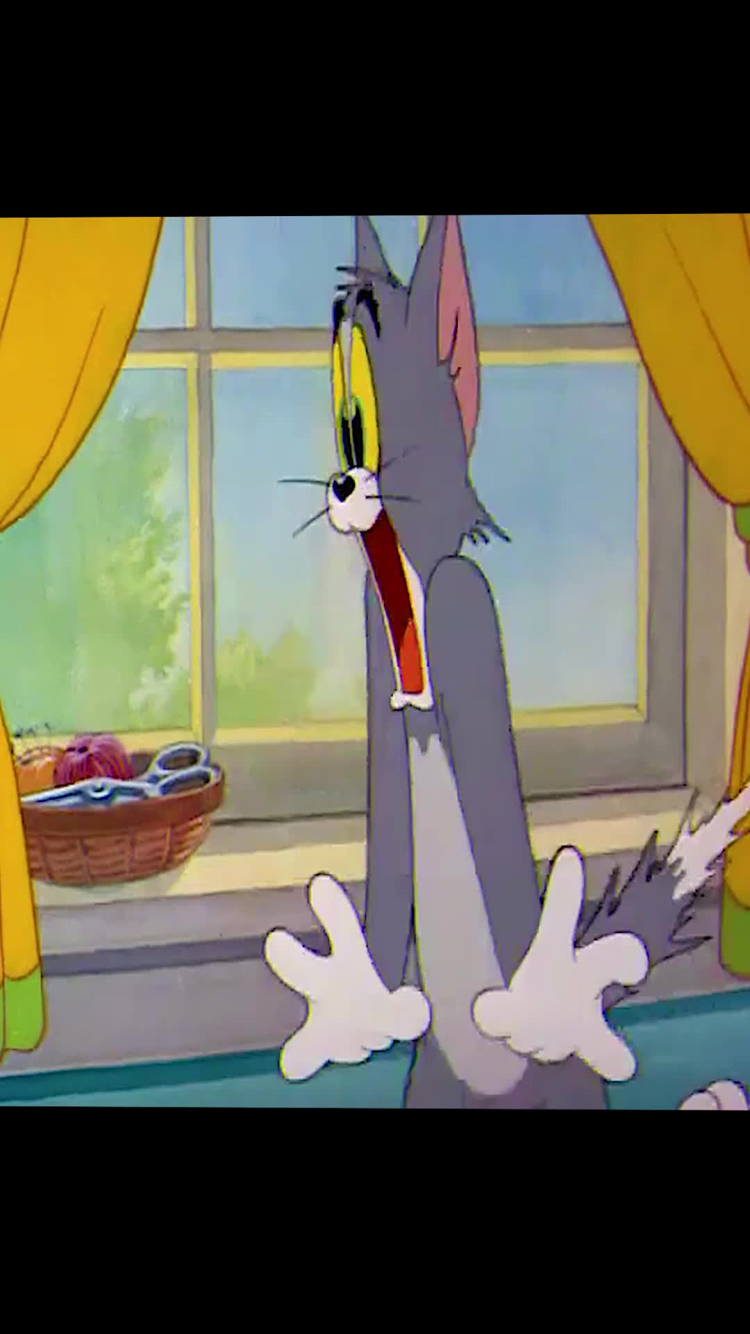 @Cartoonbb