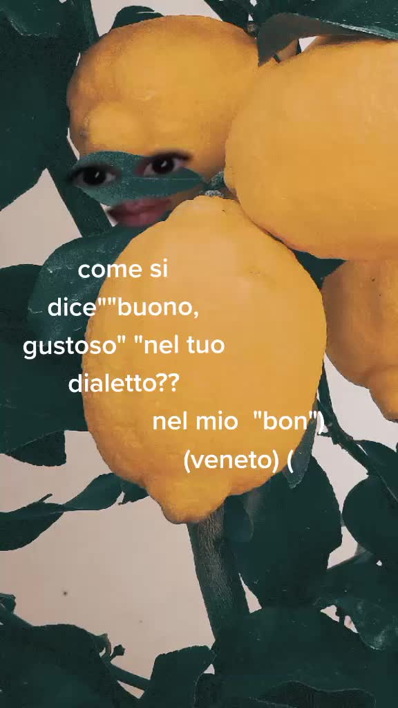 @Noemi Marchetti629