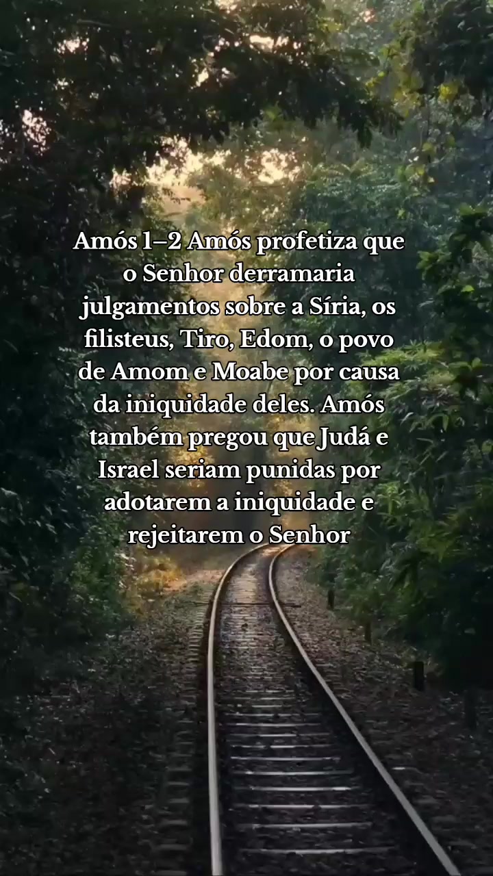 @👑@Justiça 💎🦅🌻