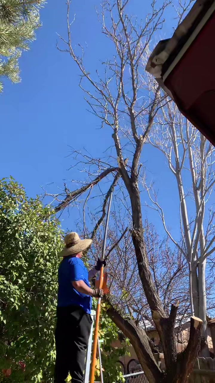 @Pros Landscaping