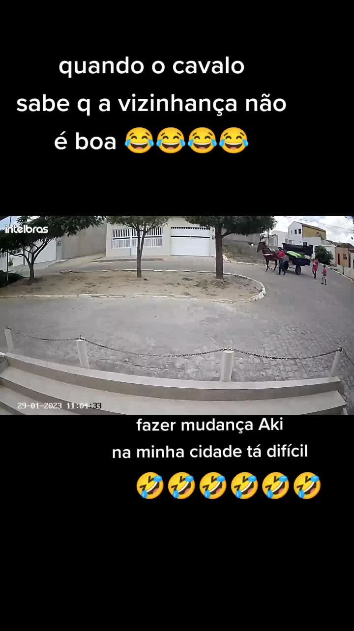 @Alex_1998_