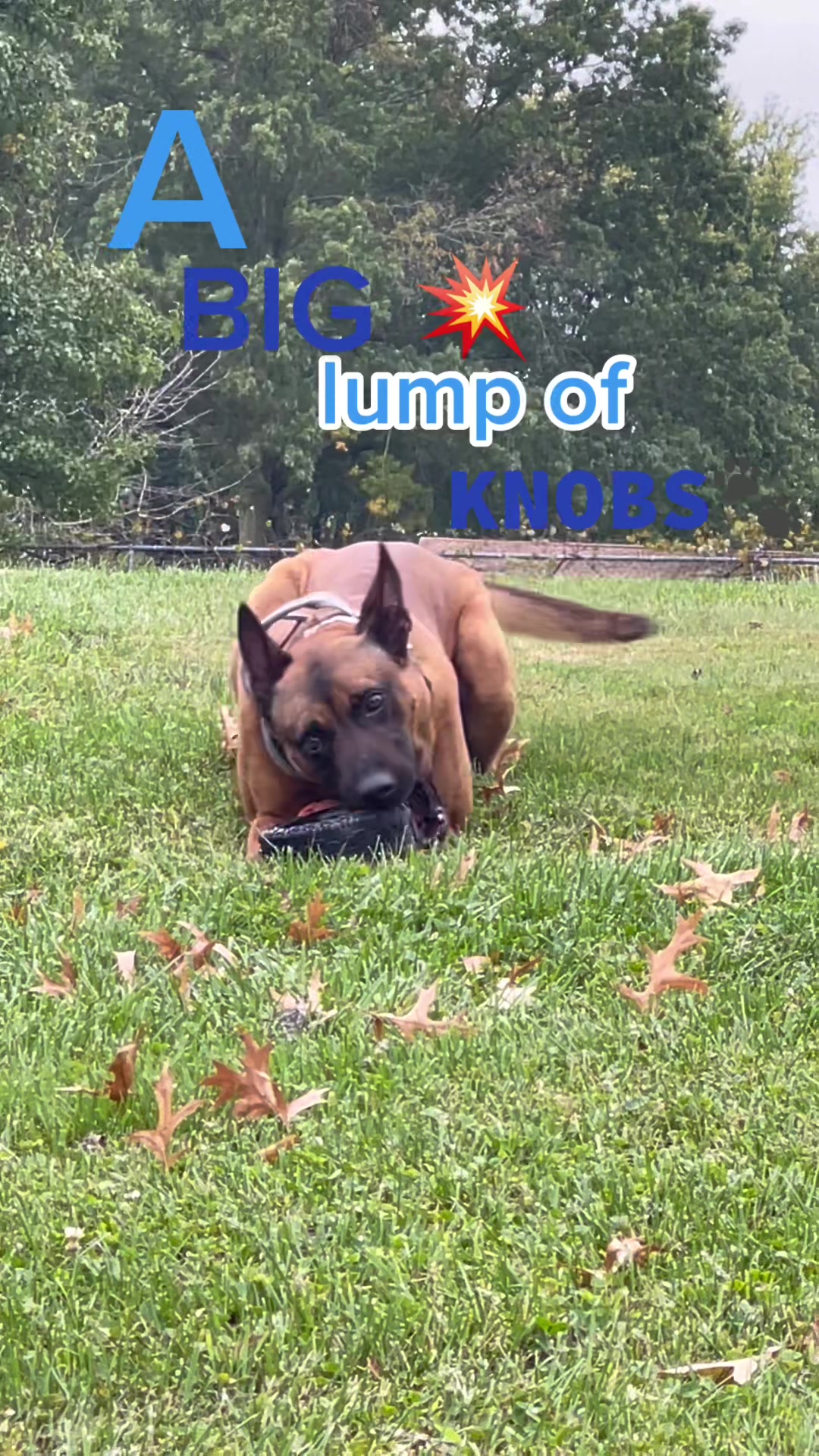 @K9DUCO