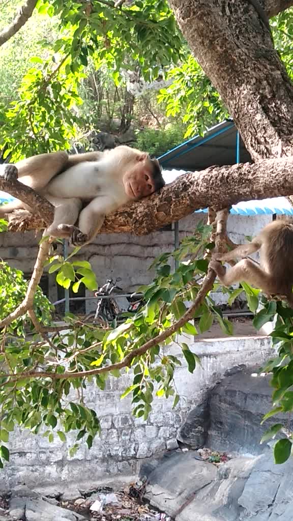 @சுரேஷ்குமார்