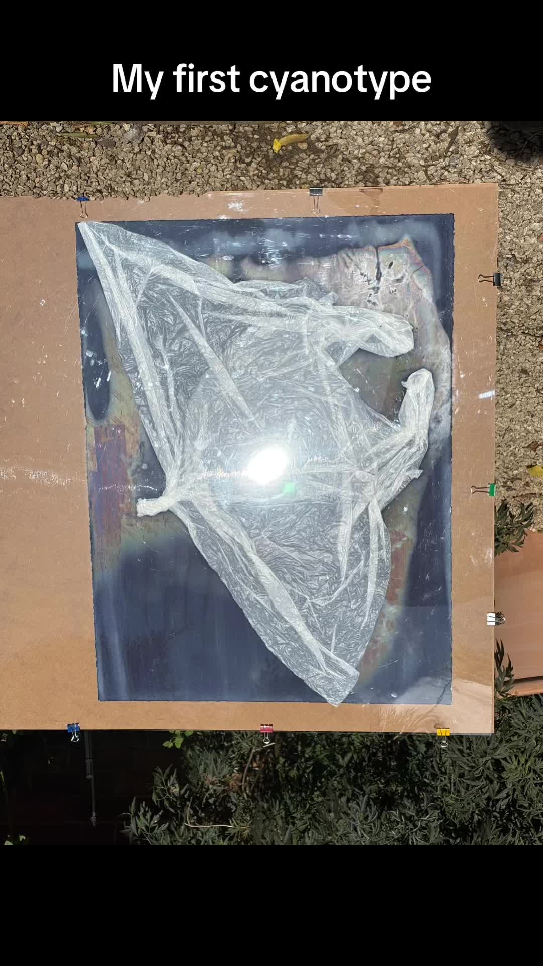 @LittlePrintDen