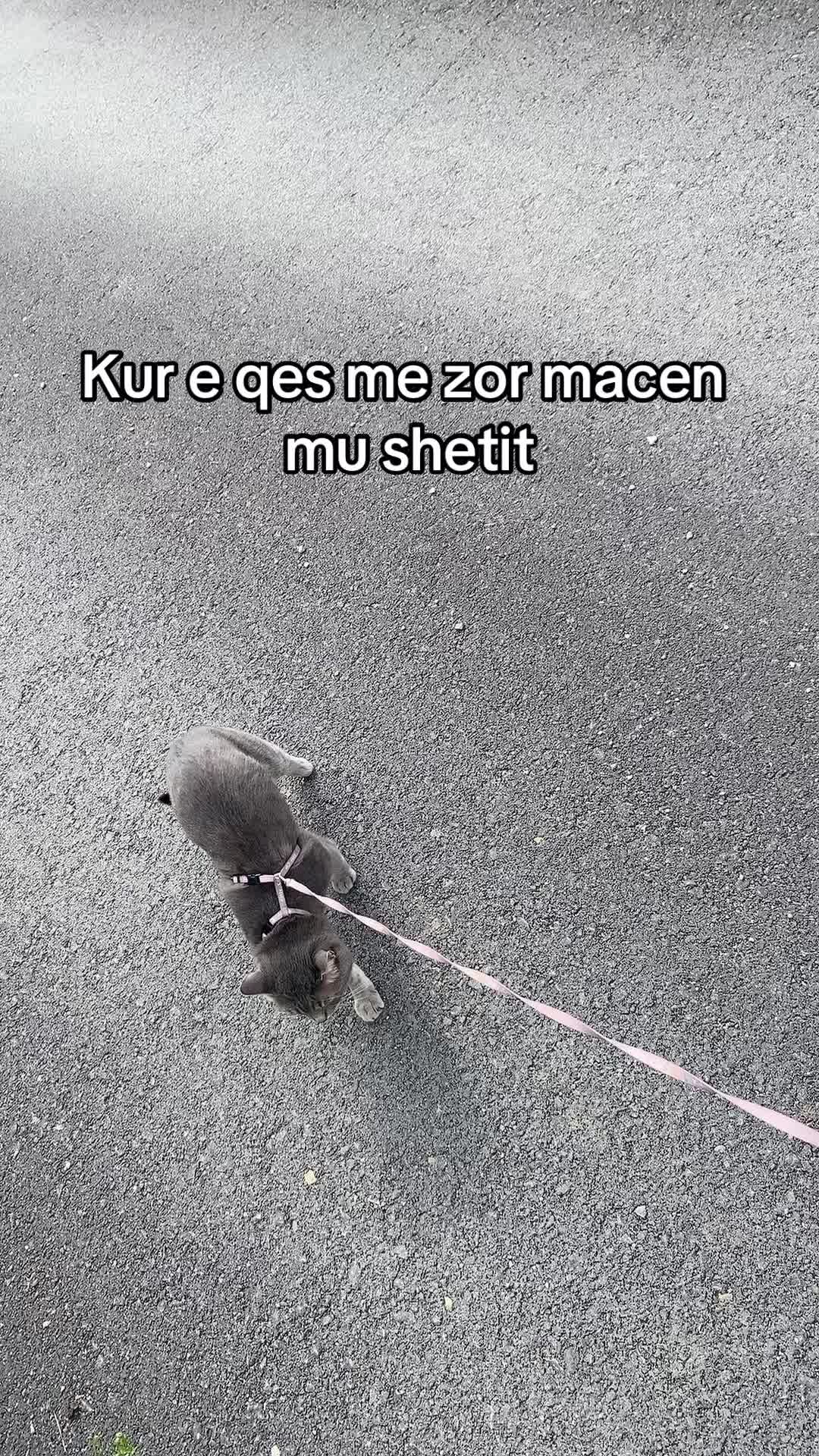 @e