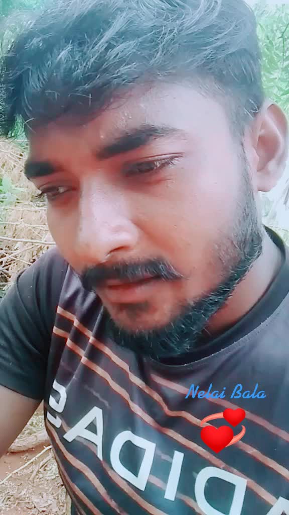 @நெல்லை 🏍️ பாலா