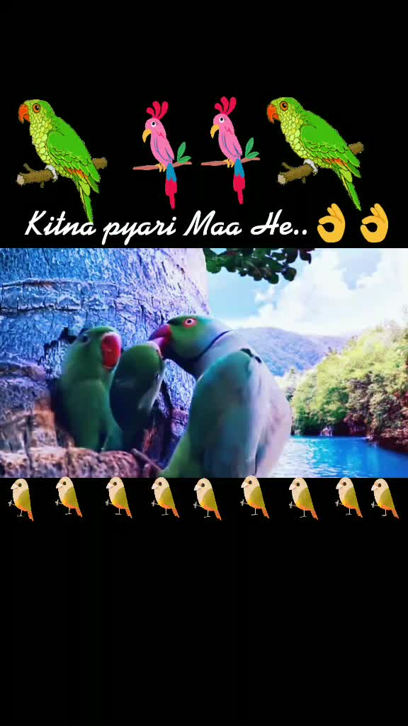 @Khirod🦋Behera