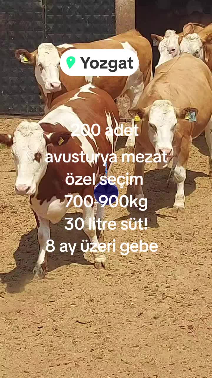 @Onur şahin 0544 842 73 19