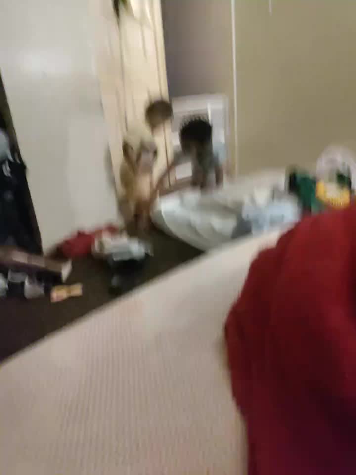 @tfambro8823