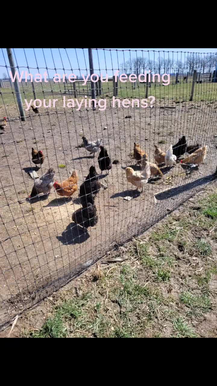 @4SFarms
