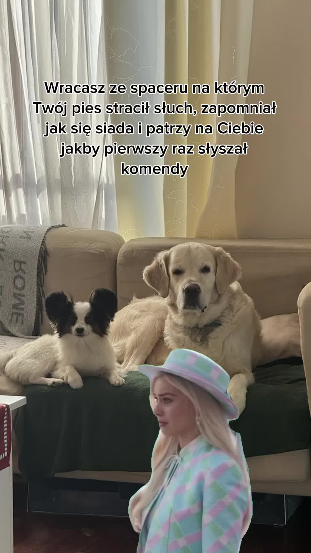 @Martyś 🥳