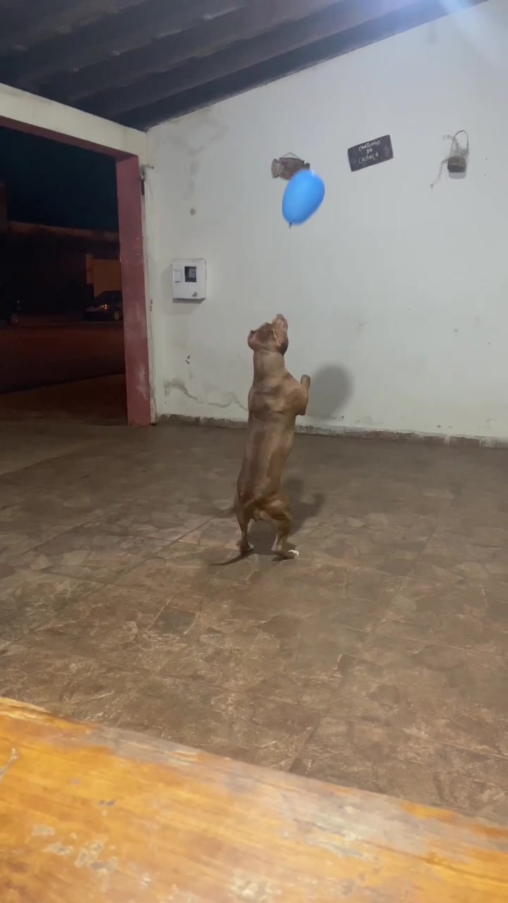 @Diego souza