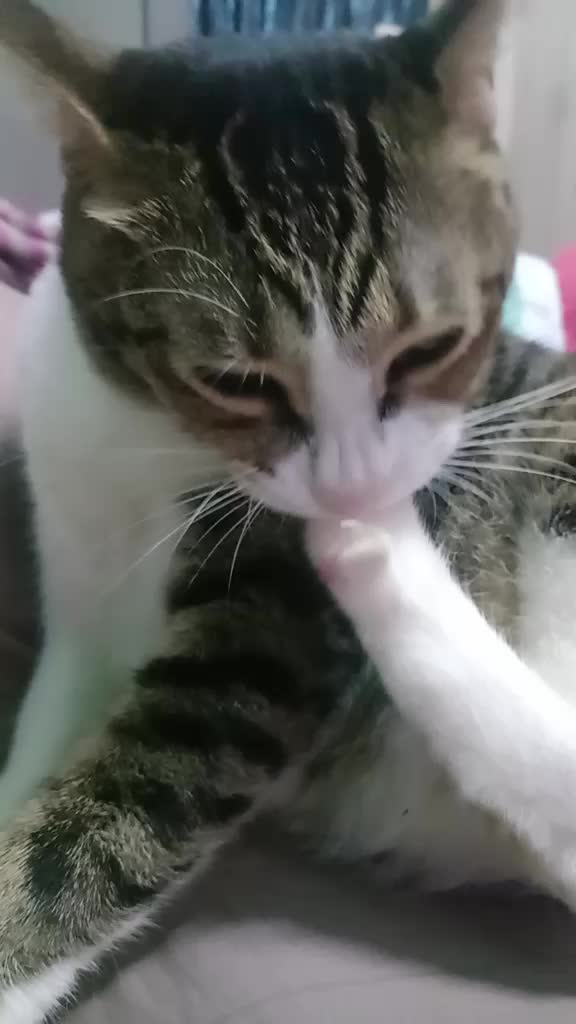 @Nama Saya Bobby