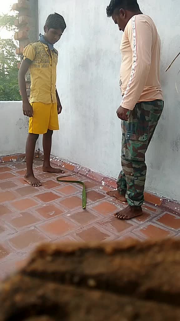 @Arunkumar