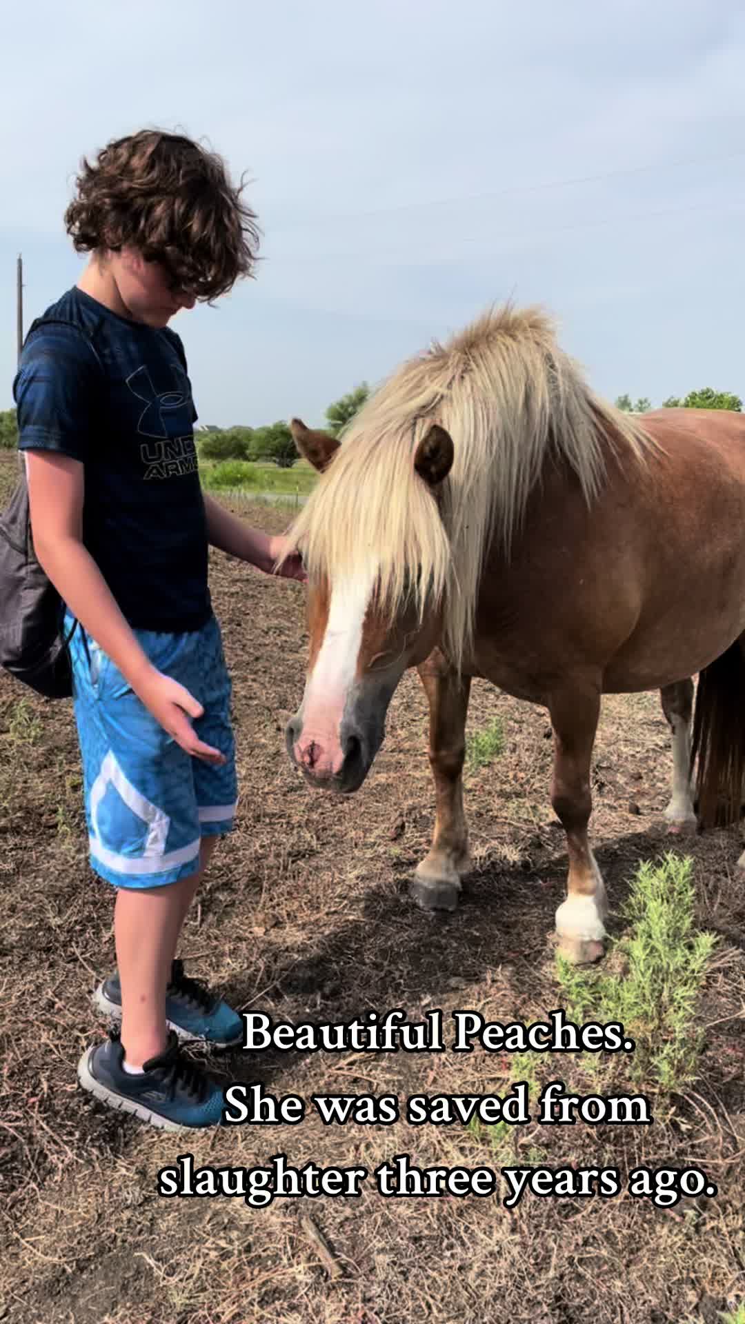@Horses<>Helping<>Humans