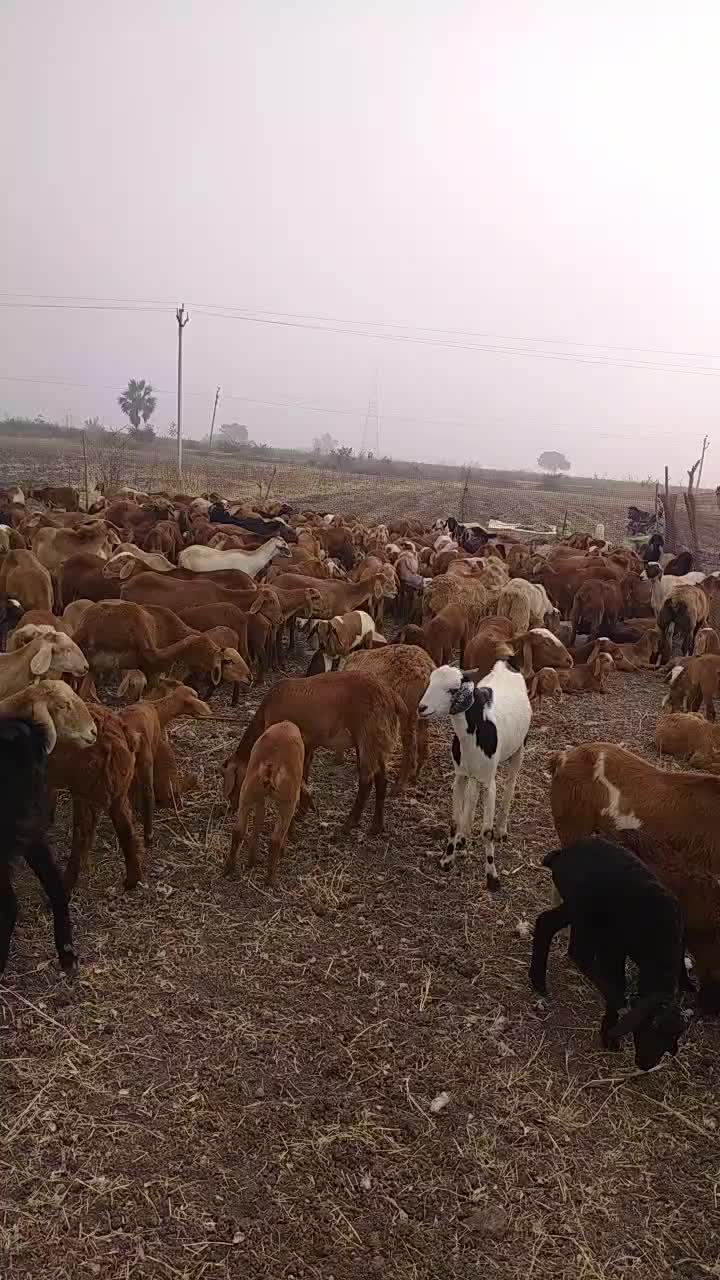 @Sai charan