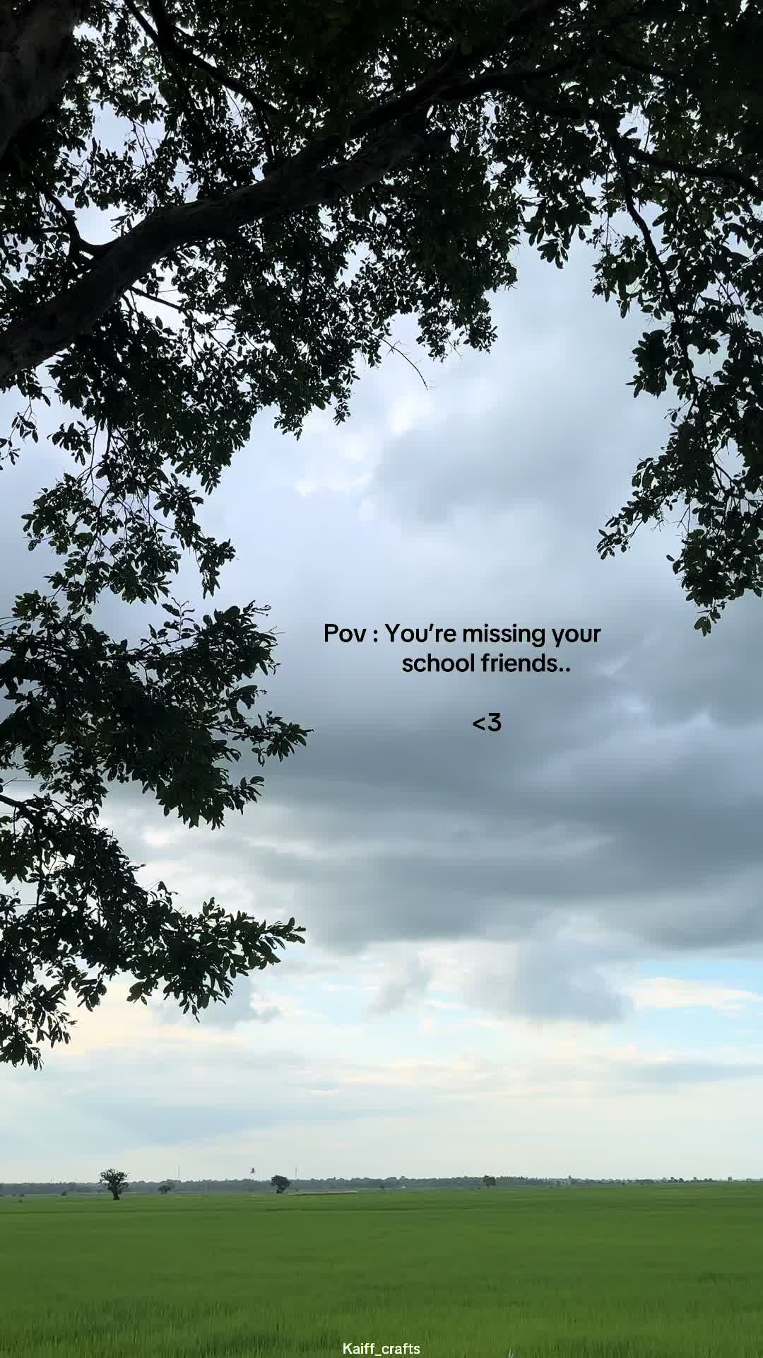 @Quotable_Vibes_