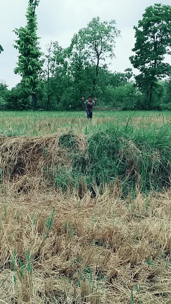 @Ajit Bariha