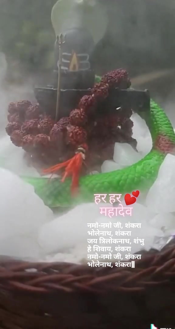 @shrutigupta127