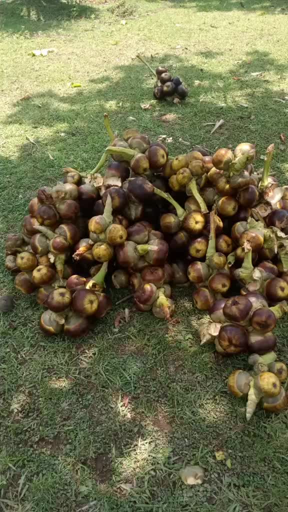 @Raju Mohanta
