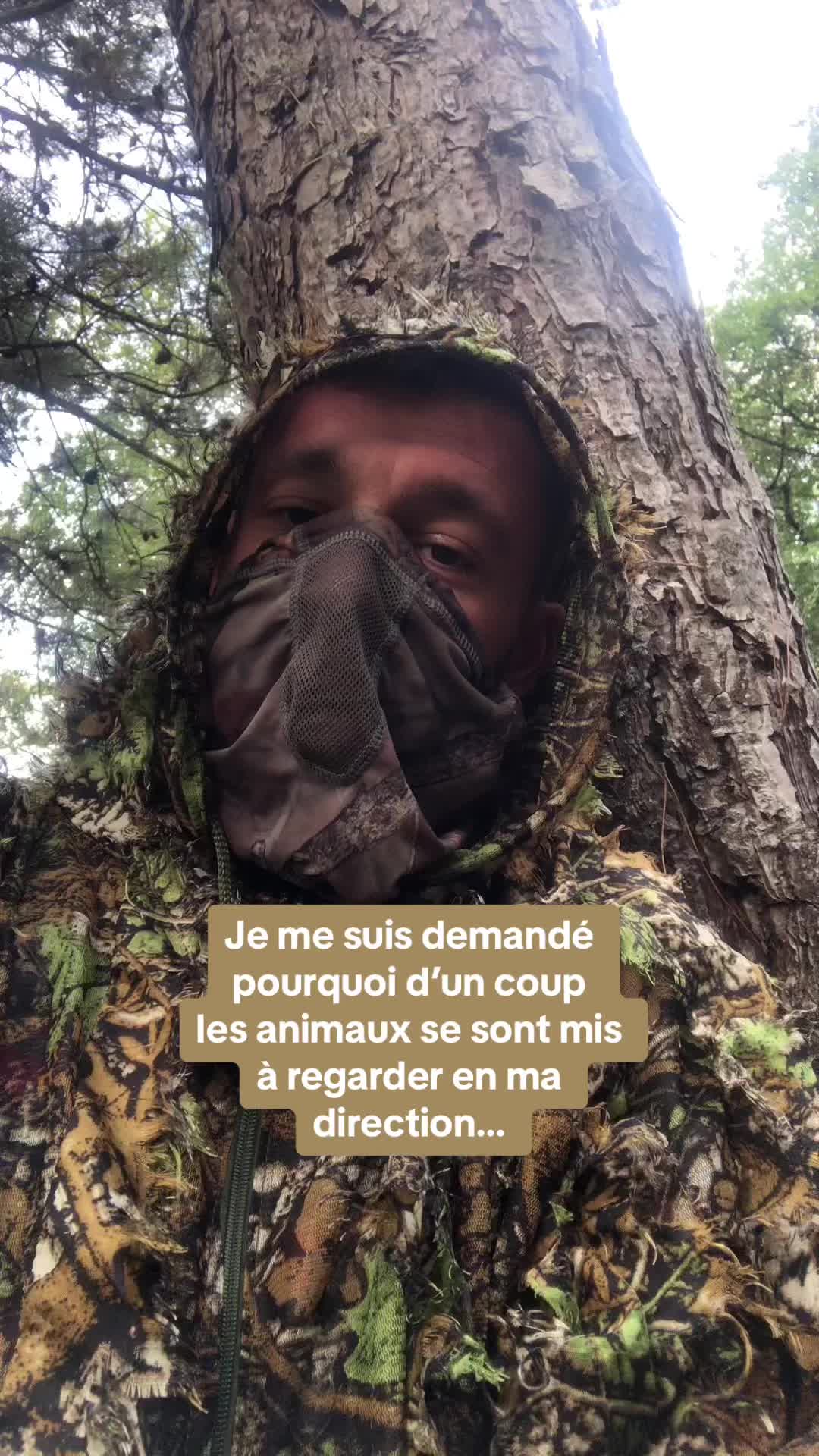 @Axel Wildlife