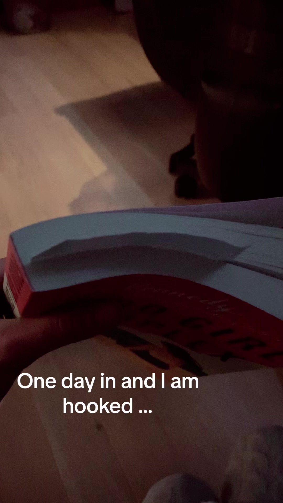 @MaryLavoieAuthor