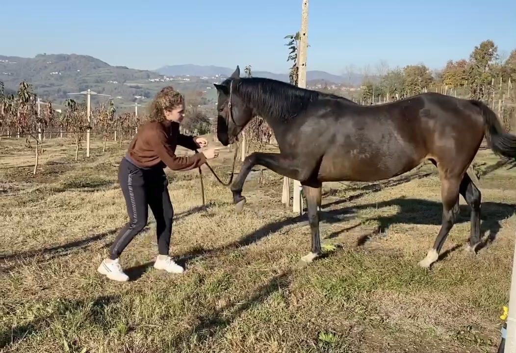 @Erica Peroni