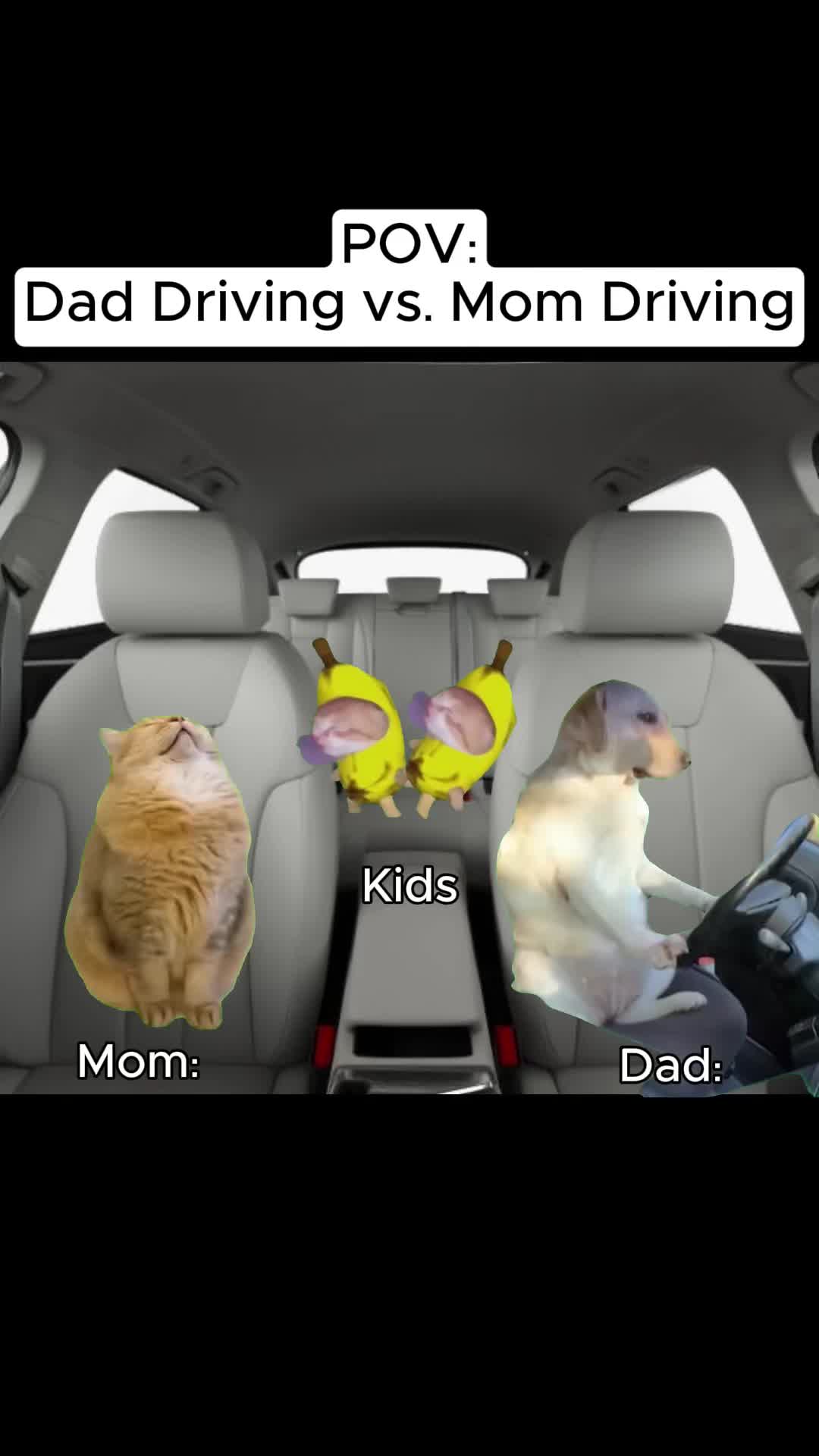 @Meme Meow 🐈🐈⬛