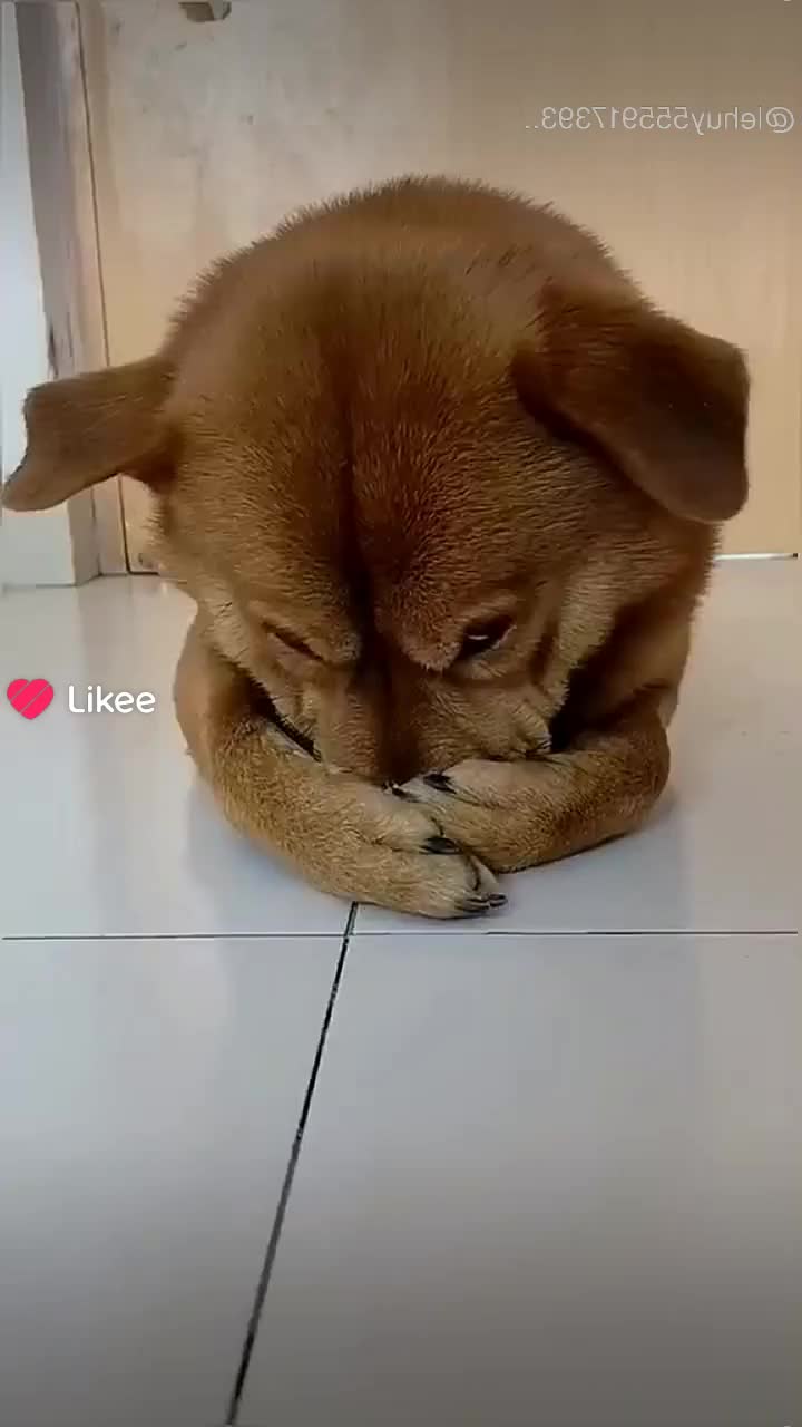 @HappyMonday668