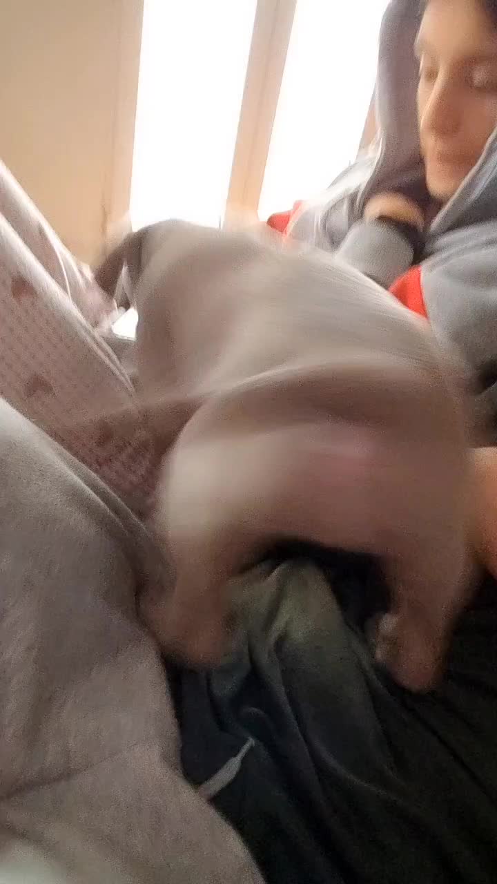 @Kantinflas