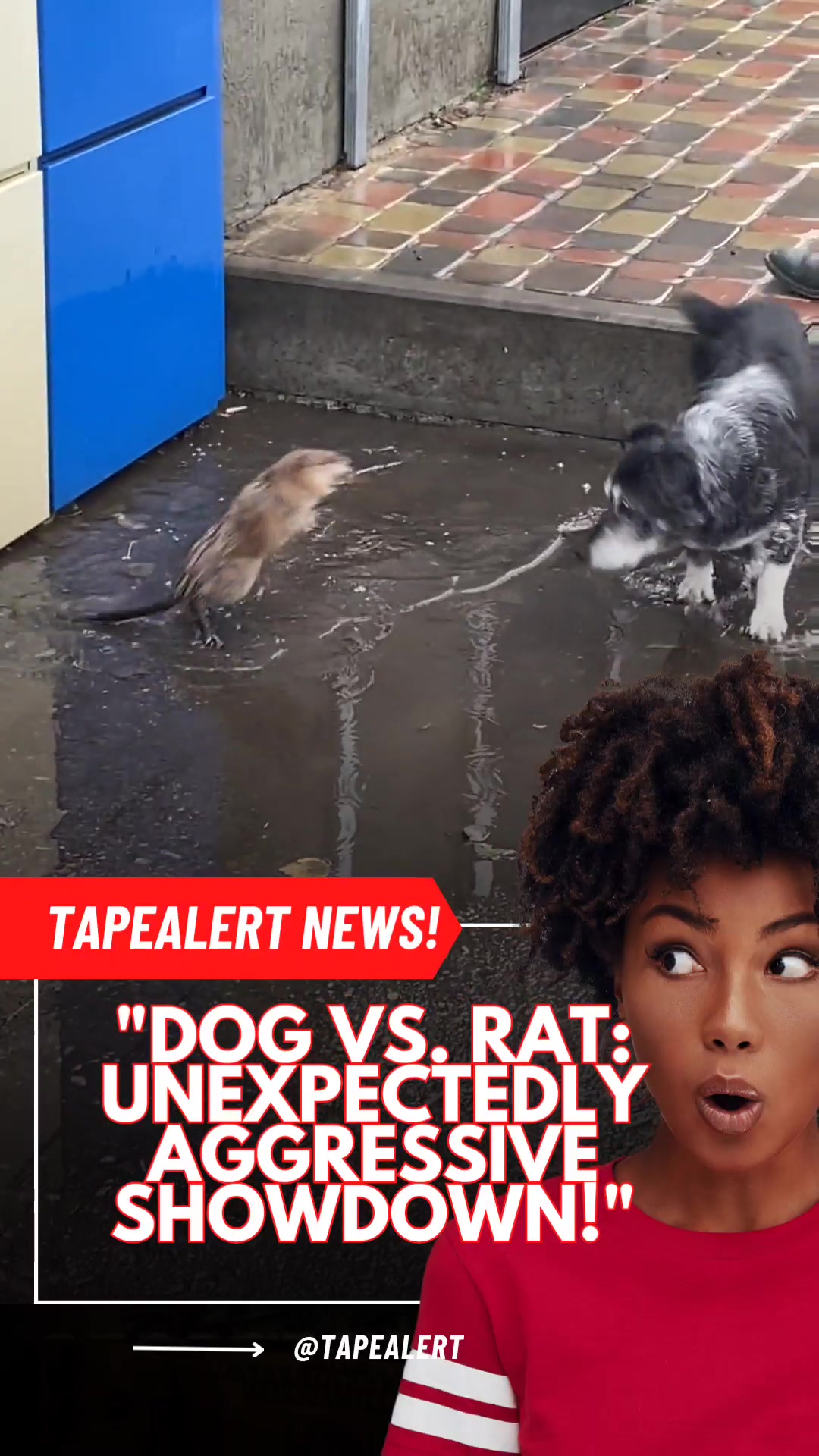 @tapealert