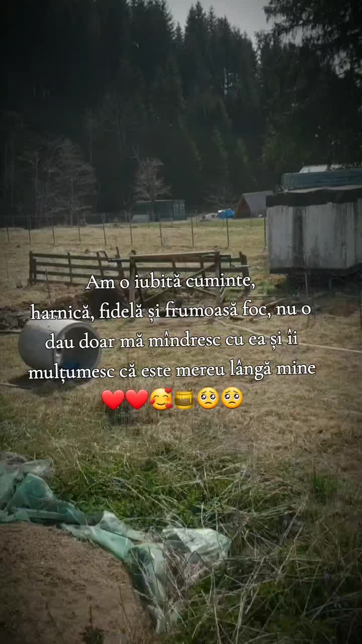 @Fofircă Liviu 🌲🌲