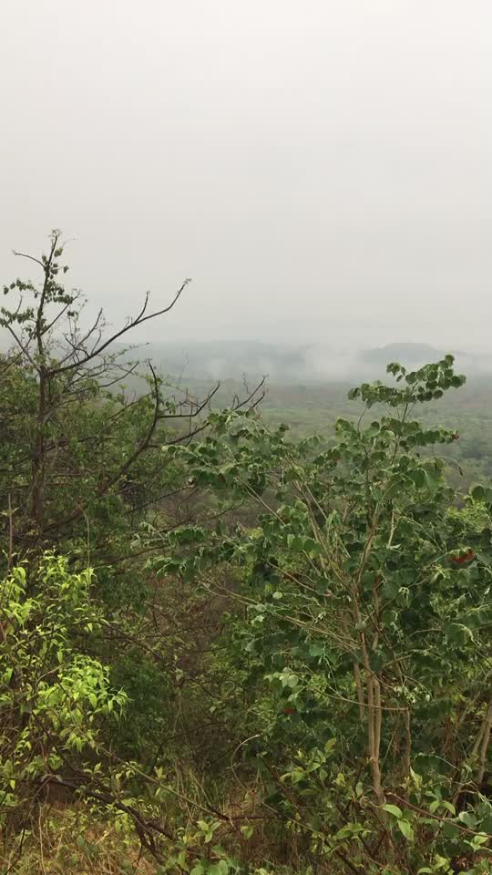 @Aamhi_kokankar_mh08
