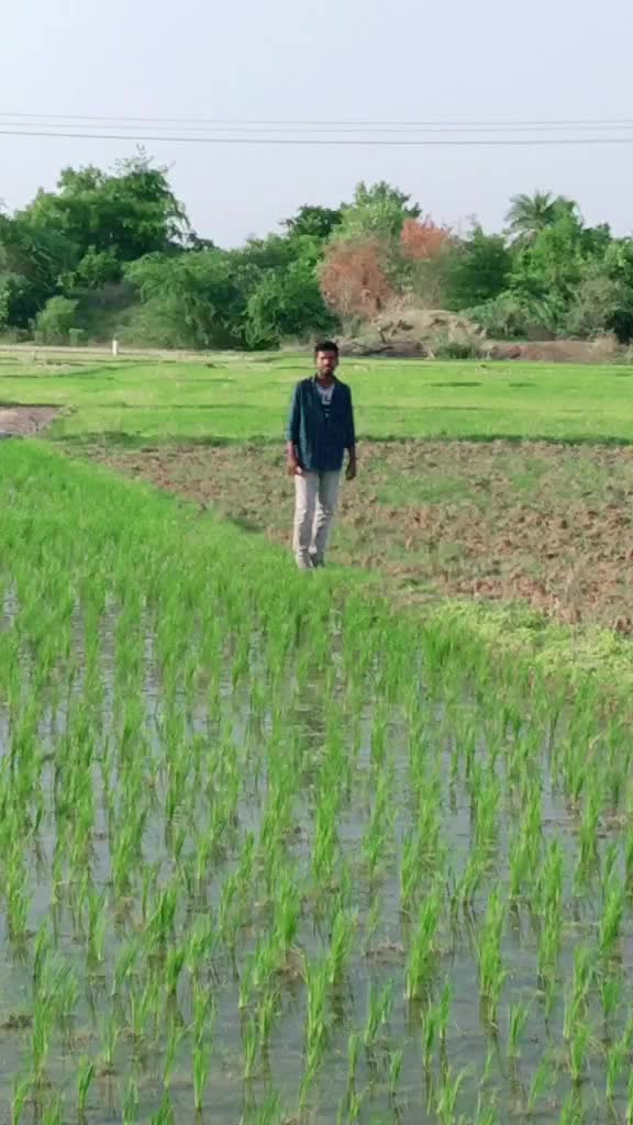 @Singarapu Saikumar
