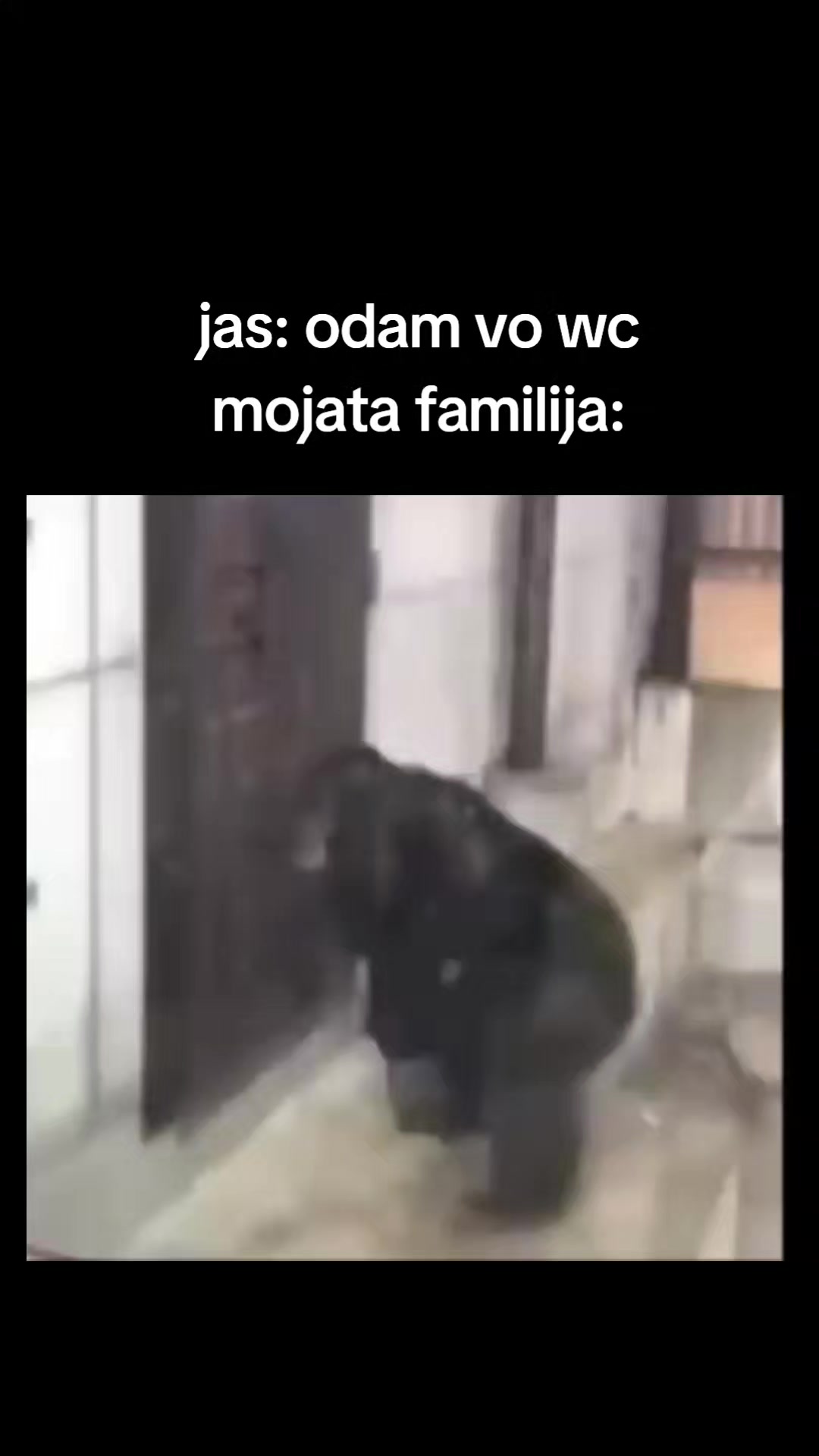 @krofnadzija