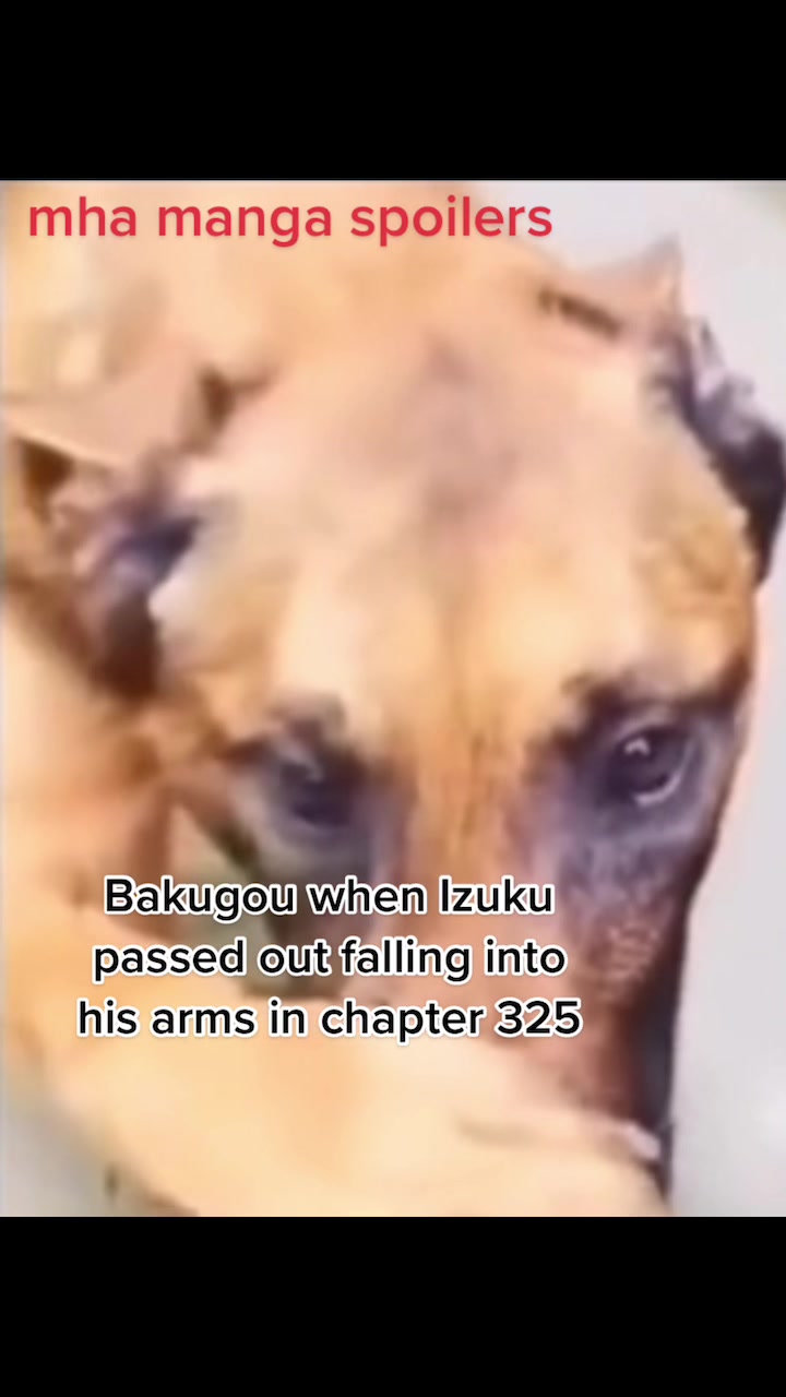 @majesticizuku