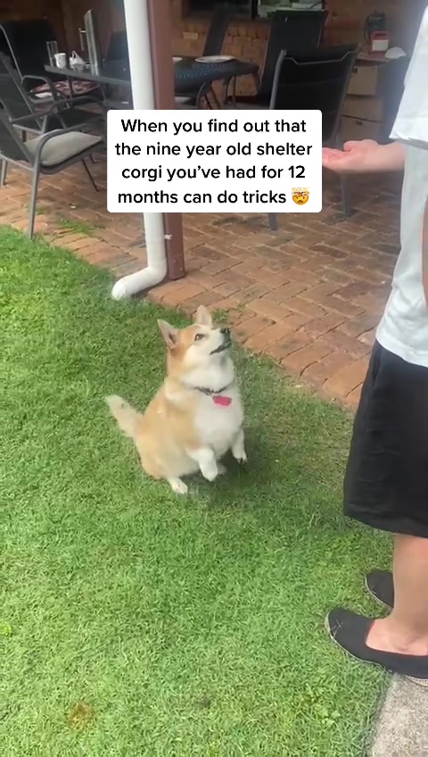 @matschulz