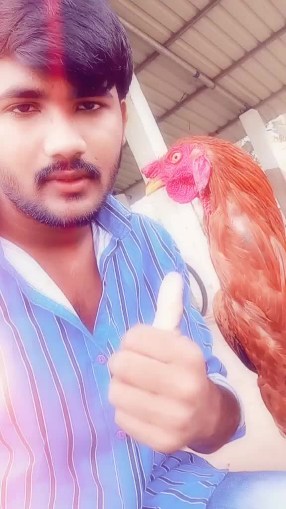 @user7444183570547