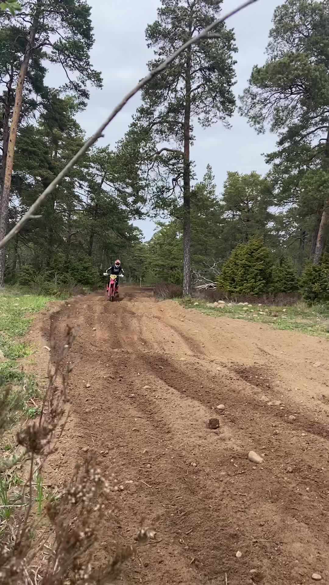 @Starköl