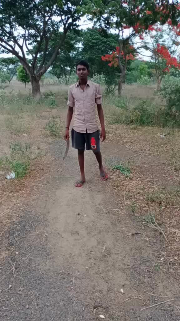 @vipvikramvipvipvikra