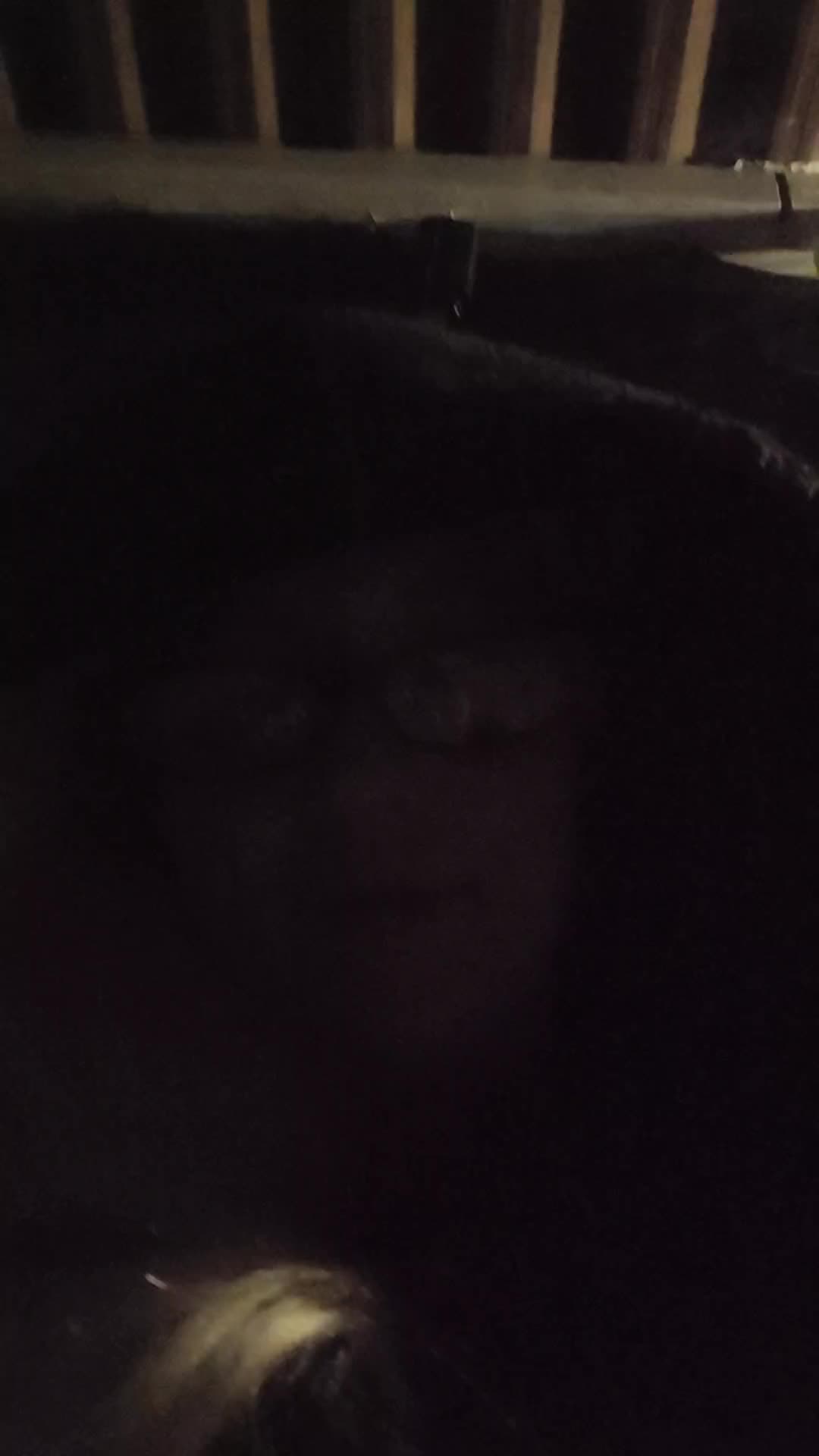 @I Am