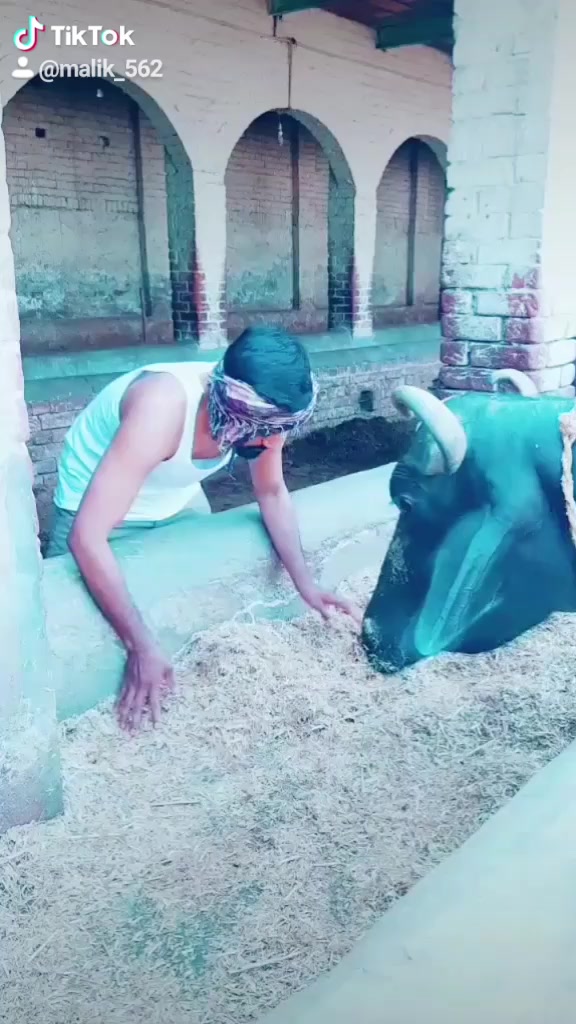 @Adi Malik
