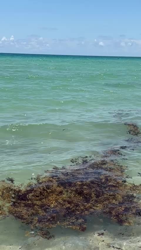 @vijoda733