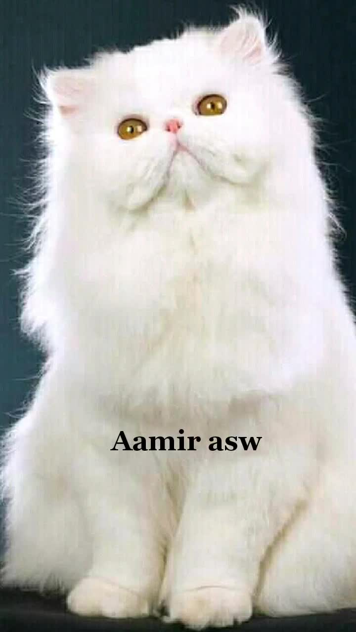 @Aamir