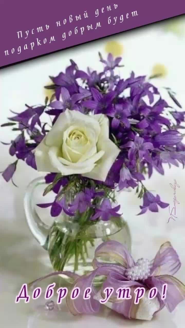 @ninareg55